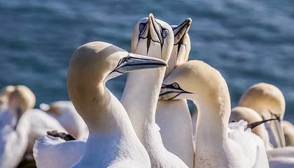 开云体育下载官网-亚洲跆拳道锦标赛中国队再夺金牌，亚洲跆拳道冠军是谁